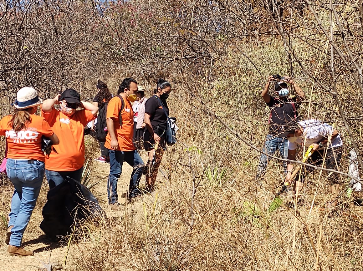 Ciudadanos continúan reforestando el parque ecológico del Cerro de El Fortín -Video-