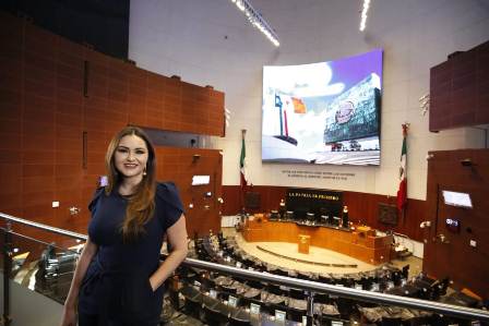 Necesario analizar permanencia del titular de ASF en el cargo, tras errores cometidos: Bañuelos