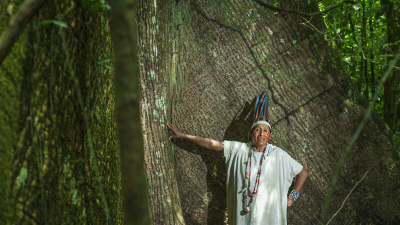 LOS PUEBLOS INDÍGENAS LATINOAMERICANOS SUFREN CADA VEZ MÁS PRESIONES PESE A TENER UN PAPEL CRUCIAL CONTRA EL CAMBIO CLIMÁTICO