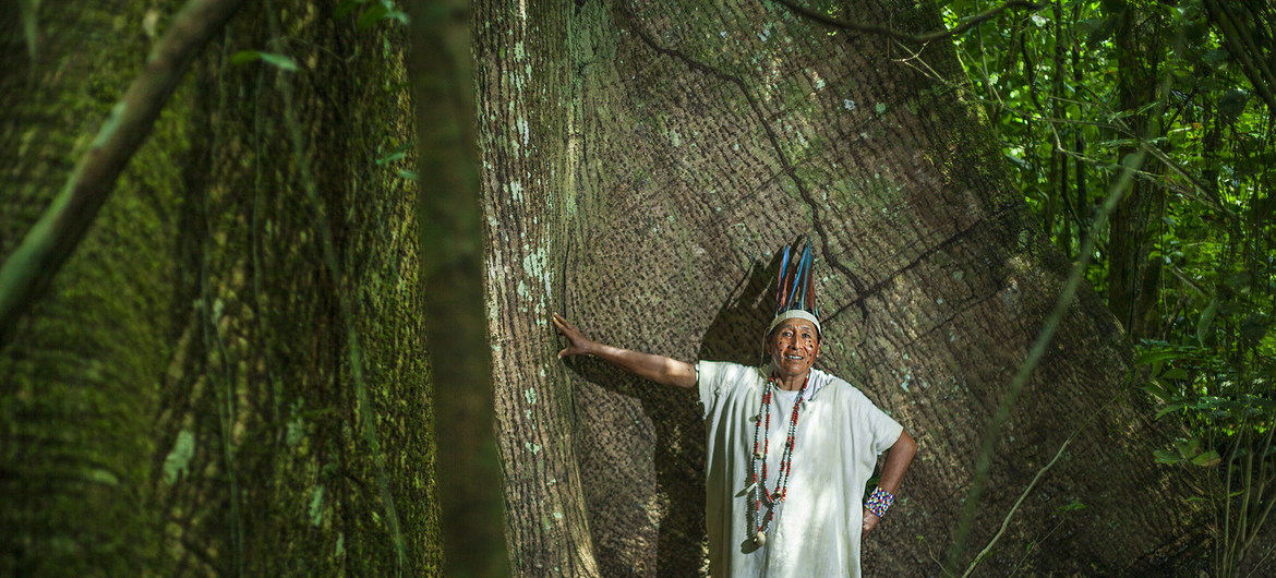LOS PUEBLOS INDÍGENAS LATINOAMERICANOS SUFREN CADA VEZ MÁS PRESIONES PESE A TENER UN PAPEL CRUCIAL CONTRA EL CAMBIO CLIMÁTICO