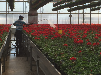 Trabajadores agrícolas temporales mexicanos serán vacunados contra Covid-19