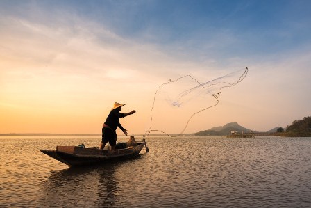 Solicitan informe sobre medidas para revertir embargo camaronero