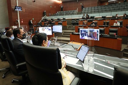 Lucía Trasviña Waldenrath