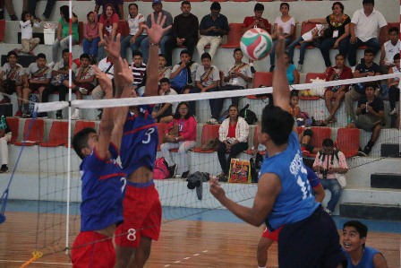 Define representantes