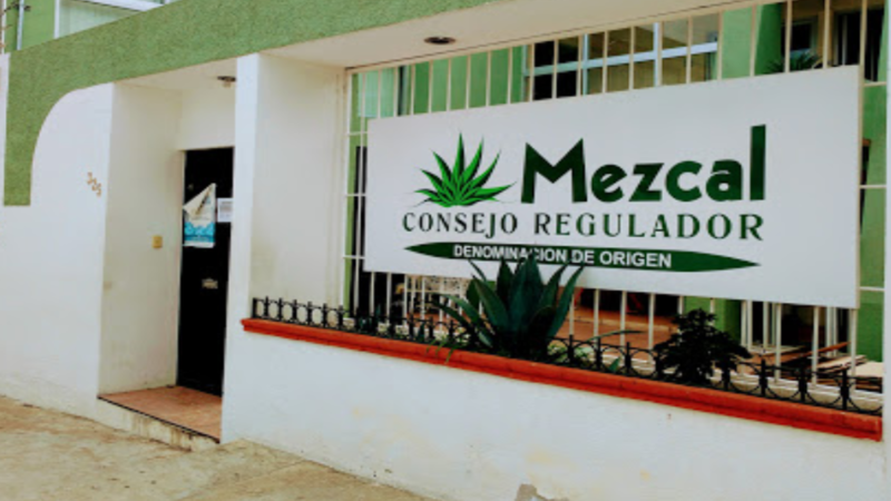 Oaxacans and travelers who visits us: