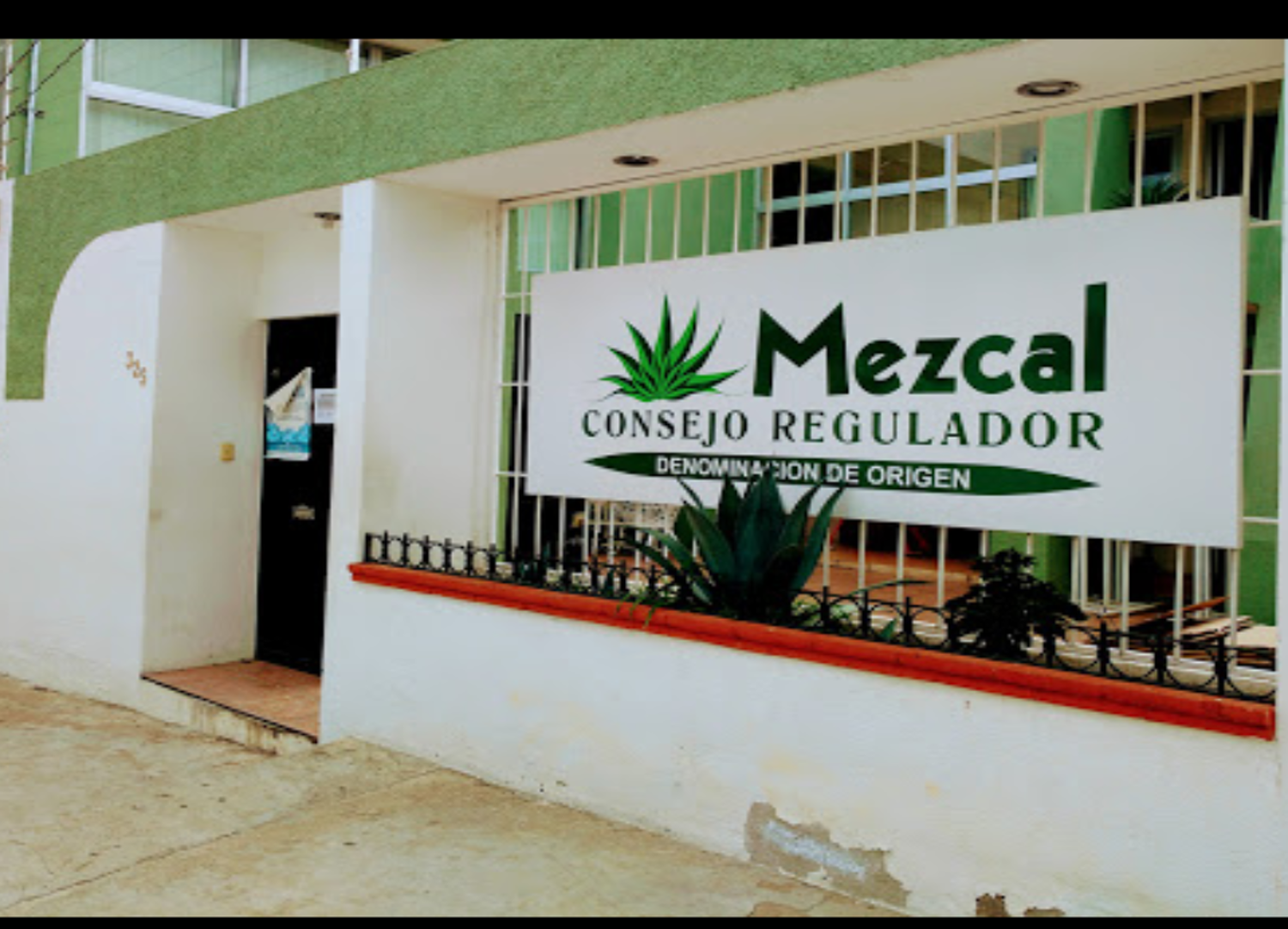 Oaxacans and travelers who visits us: