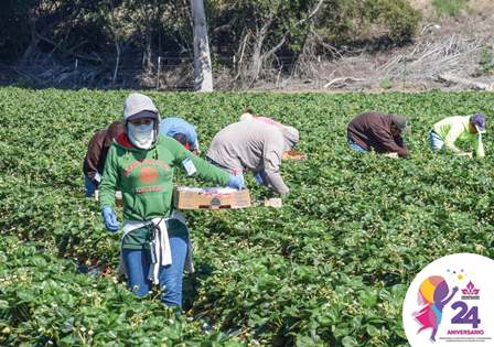 Captación de remesas