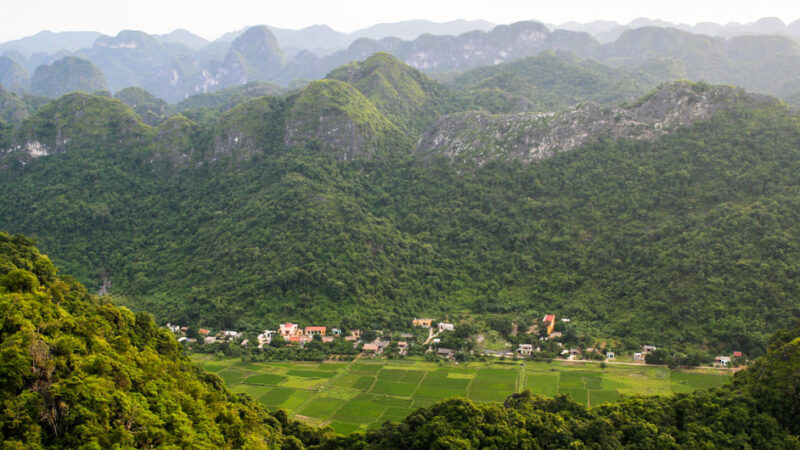 MITIGAR LA CRISIS CLIMÁTICA Y EVITAR LA INSEGURIDAD ALIMENTARIA REQUIERE QUE EL MUNDO RESTAURE MIL MILLONES DE HECTÁREAS DE TIERRAS DEGRADADAS