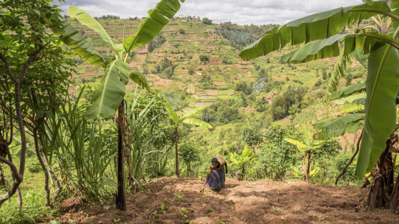 LA DEGRADACIÓN DE TIERRAS SOCAVA EL BIENESTAR DE 3200 MILLONES DE PERSONAS