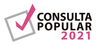 Entrevista con el diputado de Morena Pavel Meléndez Cruz, promotor de la consulta popular. Video