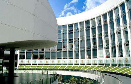 Representación paritaria