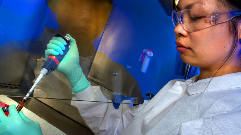 Profesora cubana y otra española reciben el Premio L´Oréal-UNESCO “La Mujer y la Ciencia”