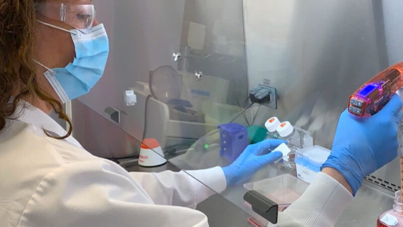 La OMS respalda el tratamiento contra el COVID-19 con un cóctel de medicamentos a base de anticuerpos monoclonales