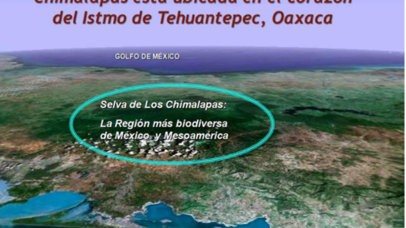 Comunicado del Comité Nacional para la Defensa y Conservación de los Chimalapas a la Suprema Corte de Justicia de la Nación por la Controversia Constitucional por invasión a los territorios de los pueblos zoques de Santa María y San Miguel Chimalapa de Oaxaca, alentada por los gobiernos de Chiapas