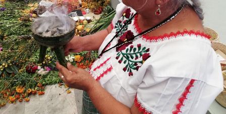Medicina natural y tradicional