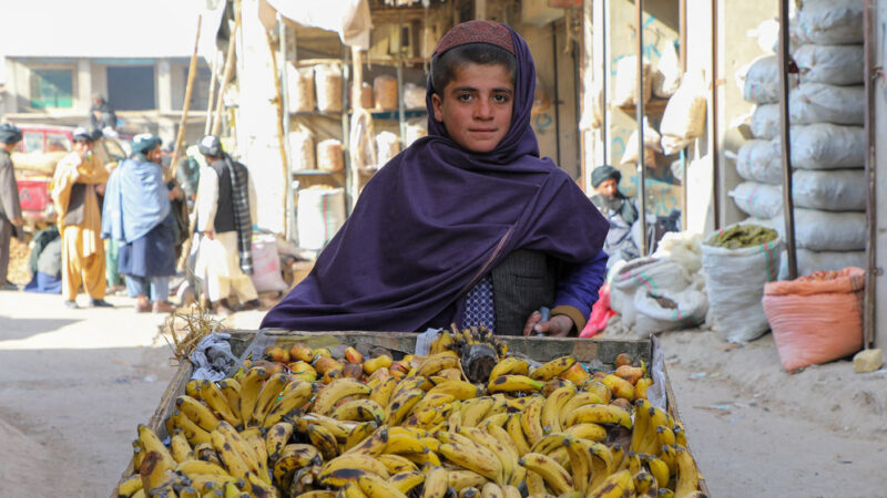 ¿Qué es desigualdad? Negar la igualdad de oportunidades a quienes nacen en la pobreza, asegura un relator de la ONU