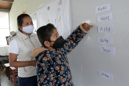 Educación Indígena