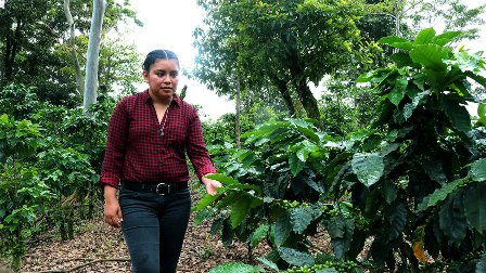 Lanzan campaña para fortalecer derechos laborales de personas trabajadoras migrantes transfronterizas