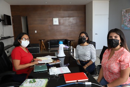 Colectivos feministas