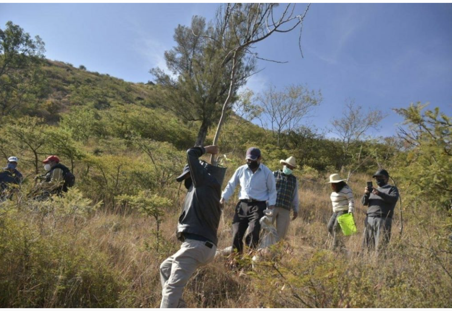 Reforestan área comunal de San Martín Mexicapan comisariado de bienes comunales y regidora de Medio Ambiente de municipio de Oaxaca  -Video-