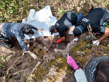 Localizan restos óseos durante operativos de búsqueda en la Mixteca y Valles Centrales