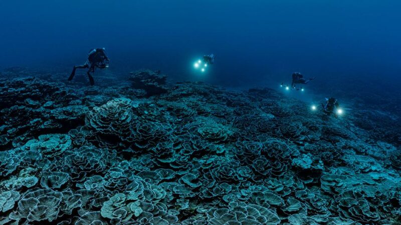 Se cartografiará el 80% de los fondos marinos, de aquí al 2030