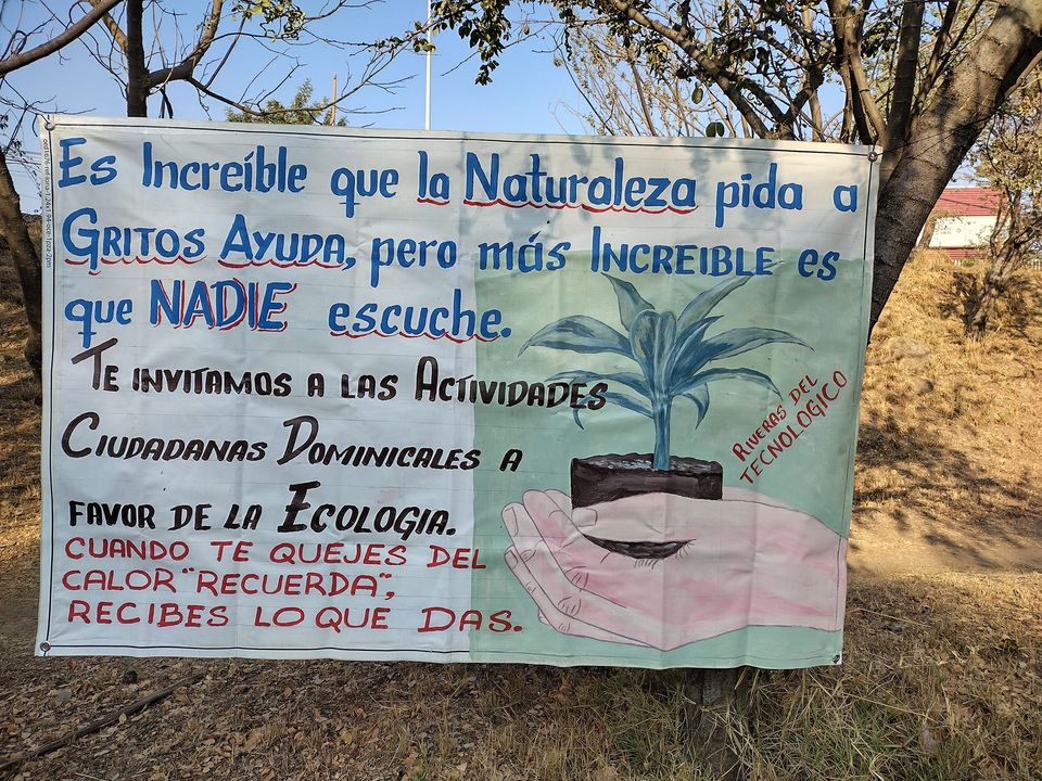 RIEGAN ÁRBOLES PLANTADOS EN LA RIBERAS DEL ATOYAC, PESE A SEQUIA Video