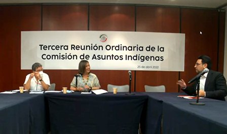 Avalan en Comisión incorporar al Imjuve al Consejo Nacional de Pueblos Indígenas