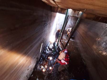 Acciones de saneamiento