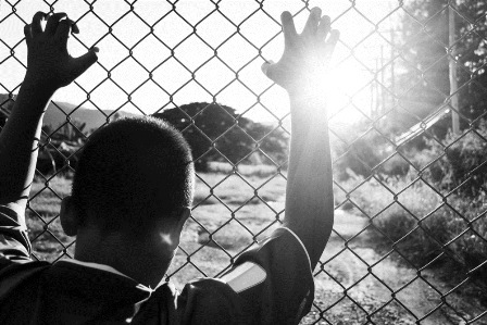 Pide Senado al INM garantizar derechos humanos de migrantes que transitan hacia Estados Unidos