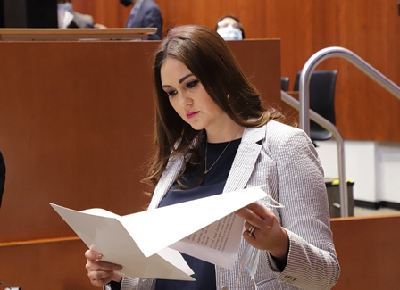 Urge senadora a diseñar un plan de protección integral para jueces y magistrados