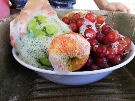 Lavado de frutas y verduras
