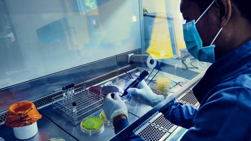 ONUSIDA preocupada por el lenguaje sobre la viruela del mono que estigmatiza a las personas LGTBI y africanas