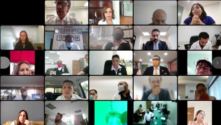 Octogésima novena reunión del grupo de trabajo