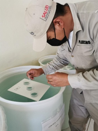 Fundamental participación comunitaria en acciones contra moscos: SSO