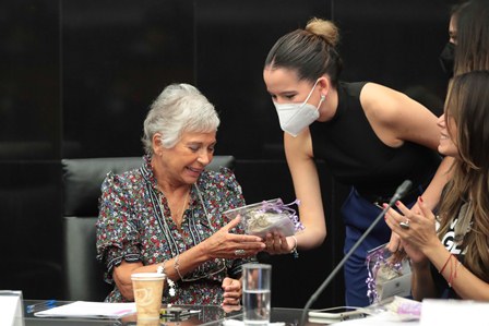 Productos de gestión menstrual