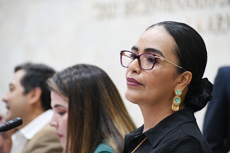 Lizett Arroyo Rodríguez