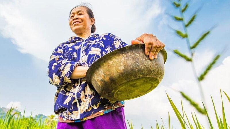 Día Mundial del Medioambiente: Nuestro insostenible ritmo de vida representa una amenaza para el planeta