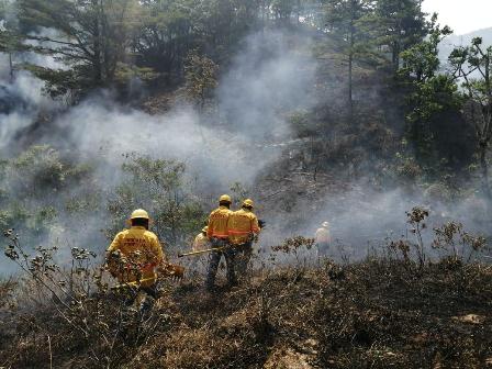 Incendios forestales
