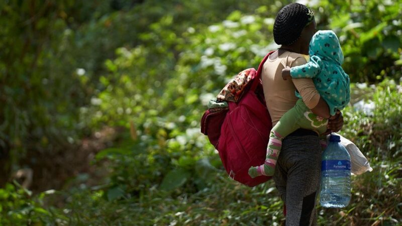 Casi 50.000 migrantes llegaron a Panamá por la selva del Darién en lo que va de 2022