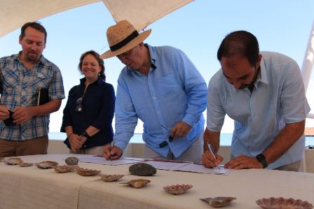 Acuerdo de colaboración