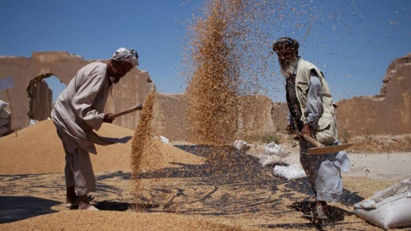 Bajan los precios de la comida en julio por quinto mes consecutivo