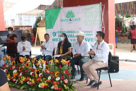 Industria del maguey - mezcal