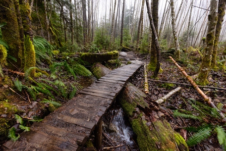 Iniciativa Climática de México