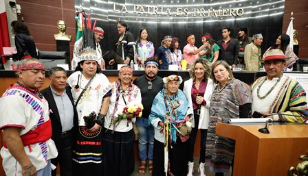 Más de 12 millones de personas en México sufren depresión, alertan en foro del Senado