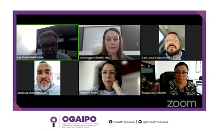 Aprueba Pleno del Ogaipo su Plan Anual de Trabajo 2023, en sesión extraordinaria