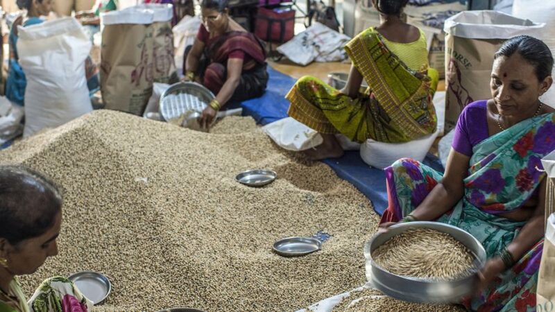 El precio de los alimentos baja casi un 18% con respecto a su máximo de marzo de 2022