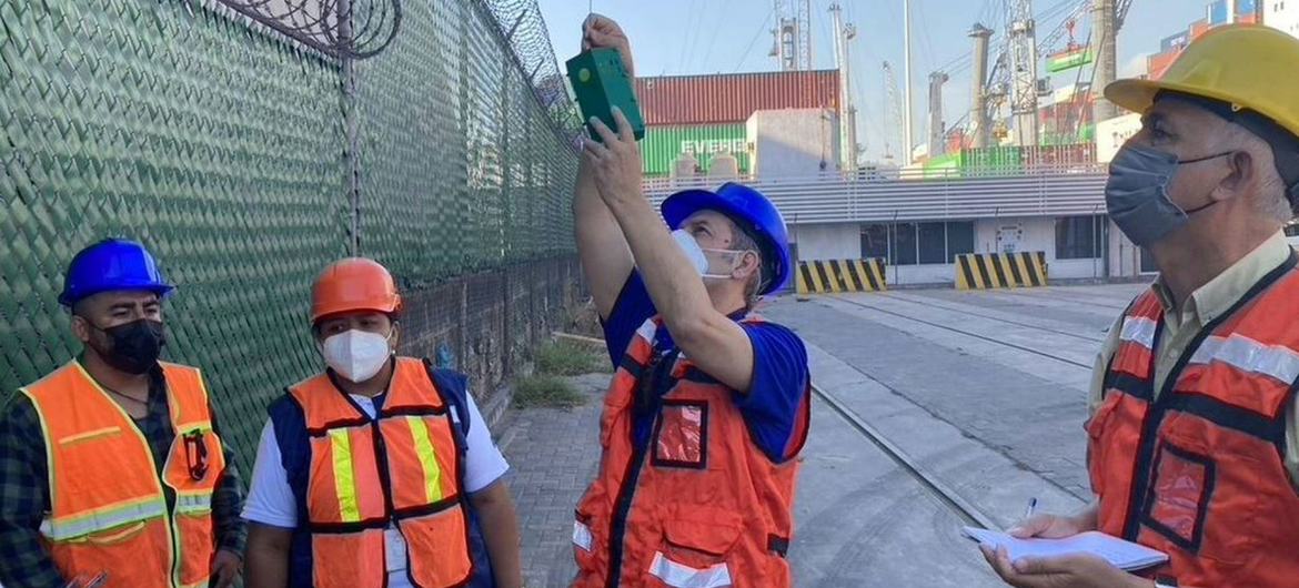 México erradica la mosca mediterránea de la fruta con una técnica nuclear