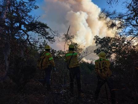 Combaten incendio forestal en la Sierra Sur de Oaxaca