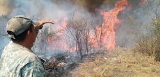 Incendios forestales